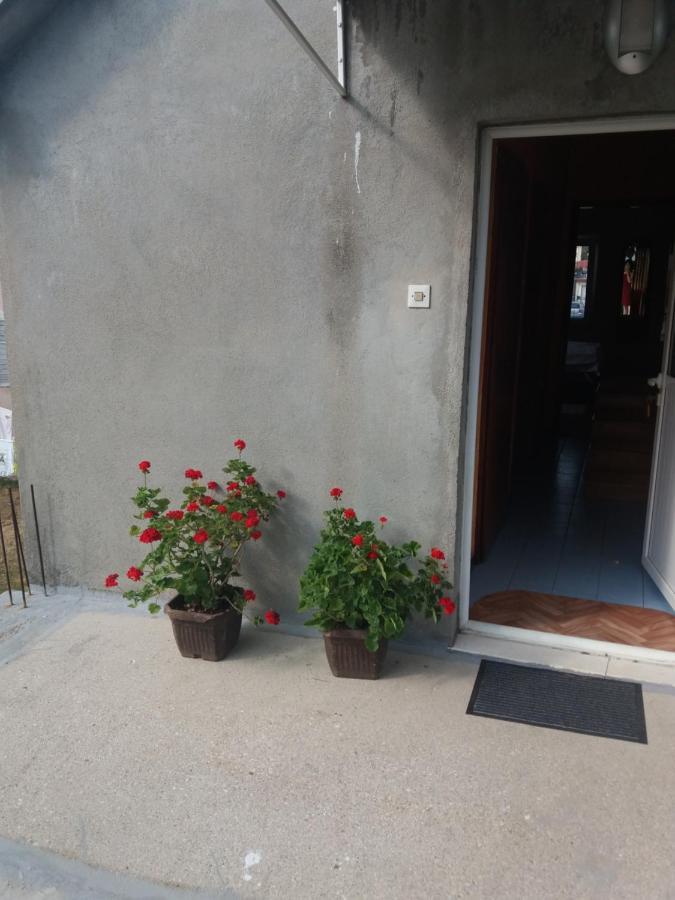 Apartman Mila i Kaja Nikšić Bagian luar foto